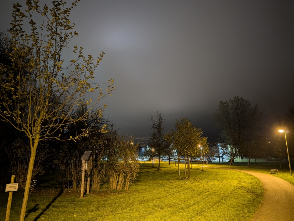 PXL_20241108_220311849.NIGHT.jpg