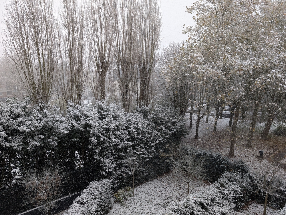 foto_no_exif (16) (3).jpg