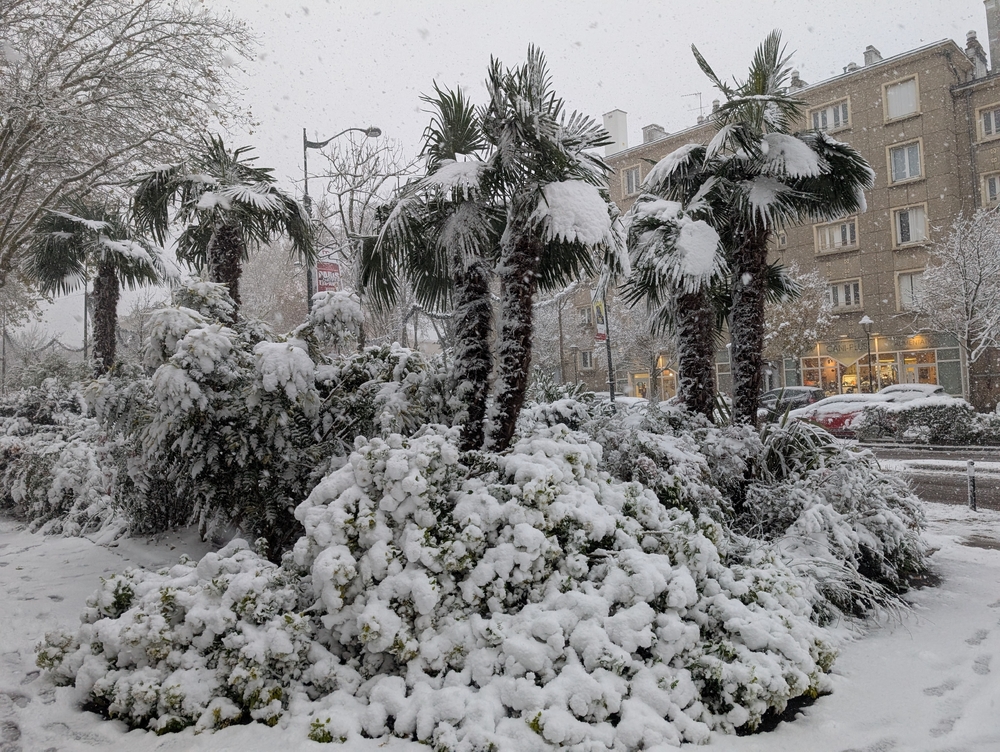 foto_no_exif (2).jpg