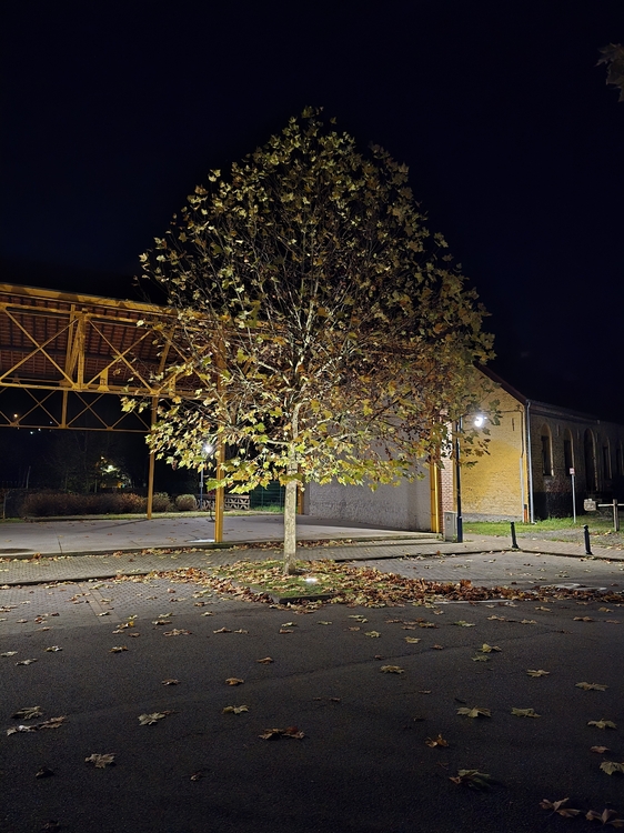 20241117_182040.thumb.jpg.29abd153bd04d058533e839cf4baeea6.jpg