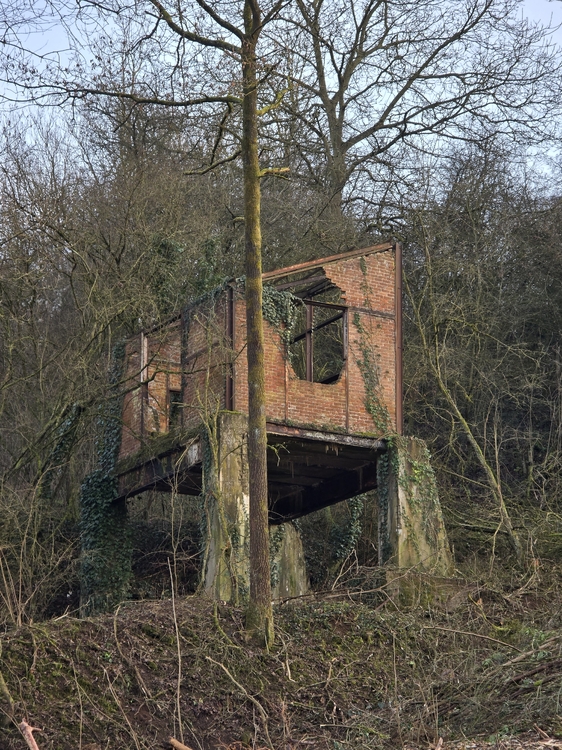 20250121_164343.thumb.jpg.836f5453509db343e20ff743885e5a7b.jpg
