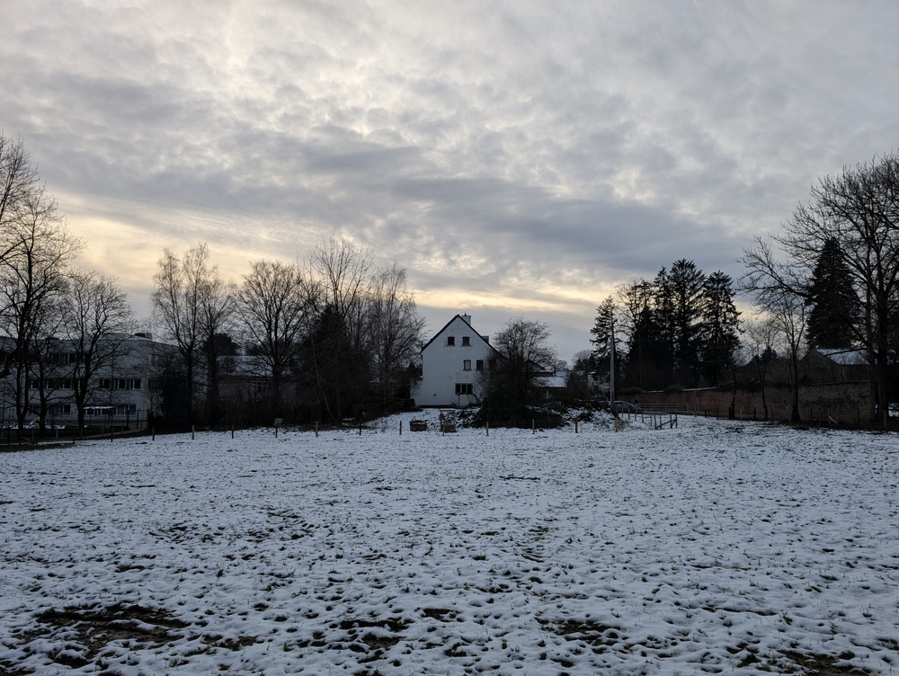PXL_20250104_152627274.jpg