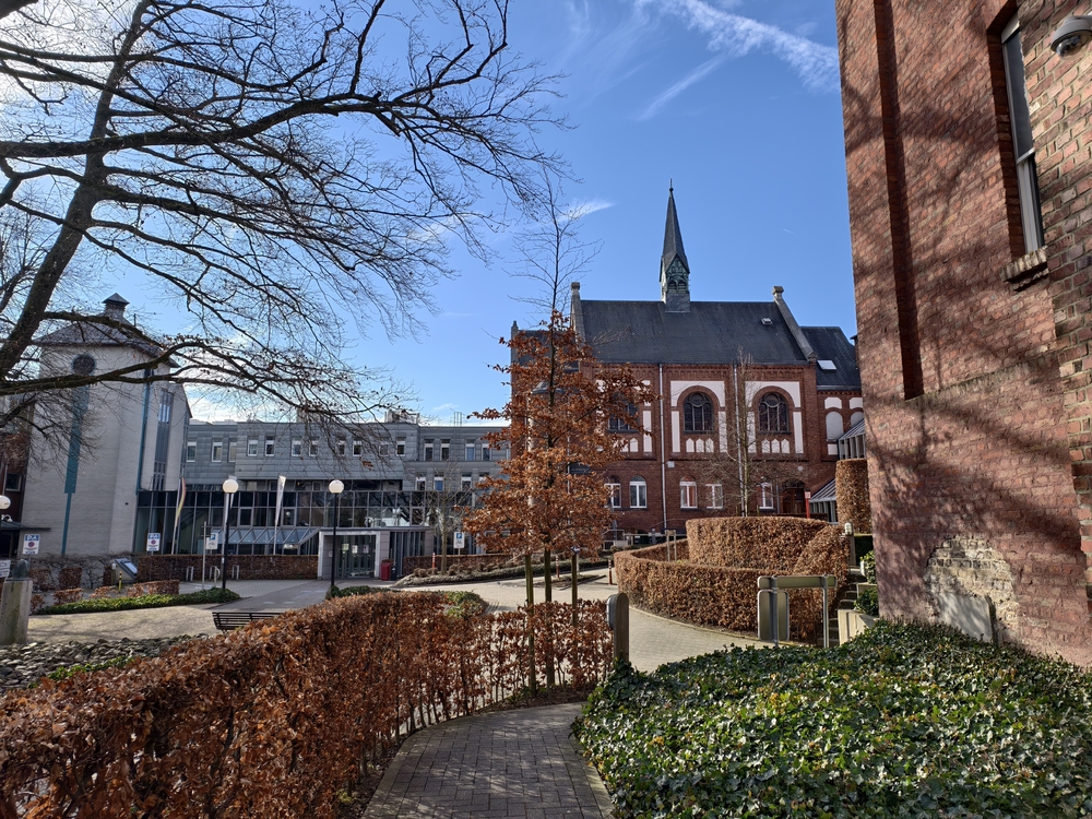 IMG_20250208_131028.jpg