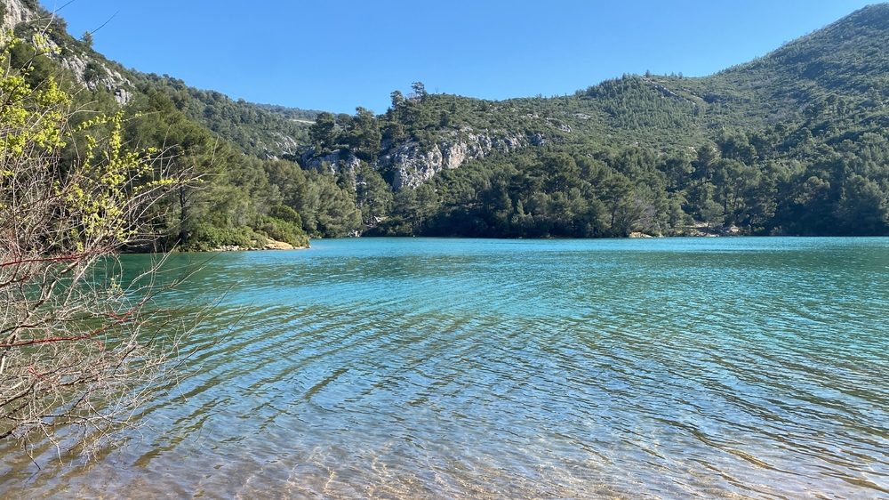 C7D05E57-E4B9-4052-93C9-A708136EA981.thumb.jpeg.c23a07e42d5cde5382e599cf1d05ec75.jpeg