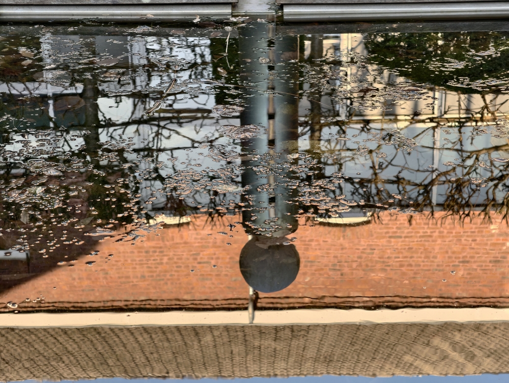 IMG_20250306_170000.jpg