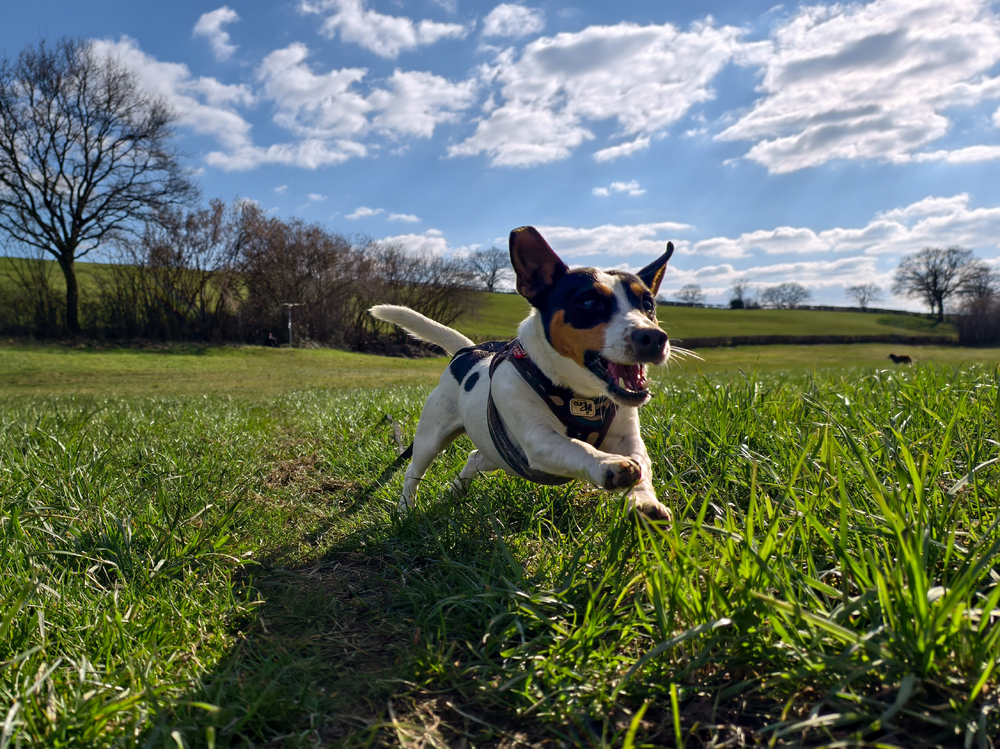 IMG_20250317_162227(1).jpg