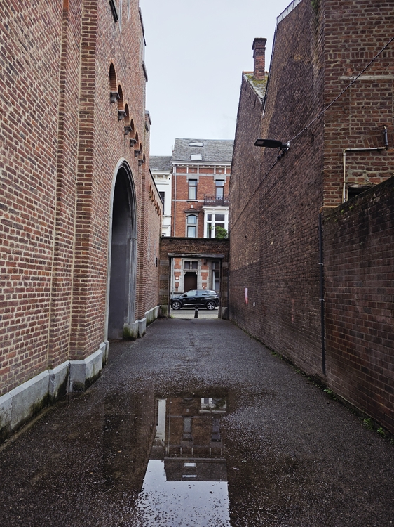 20250423_163155.thumb.jpg.71cea019fbaef04b4b94c371e4827bde.jpg