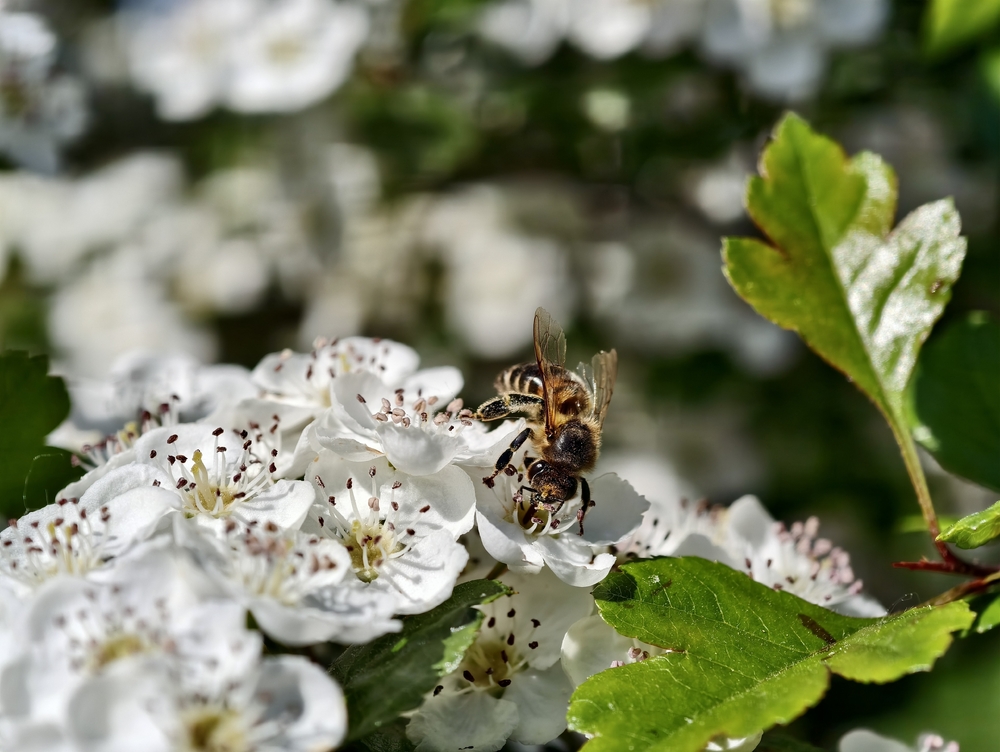 IMG_20250427_112610.jpg