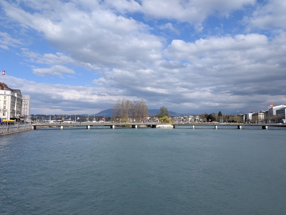PXL_20250401_151314762.jpg
