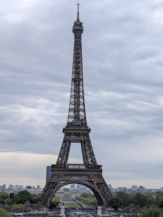 PXL_20250419_094801544.jpg