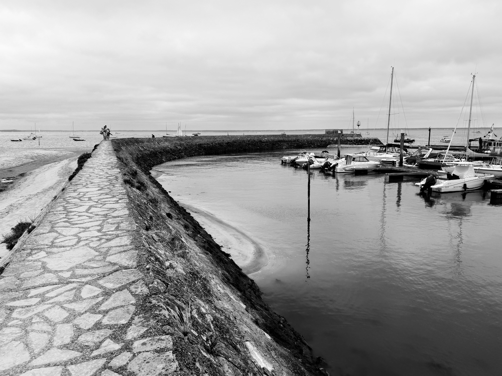 IMG_8362.jpeg