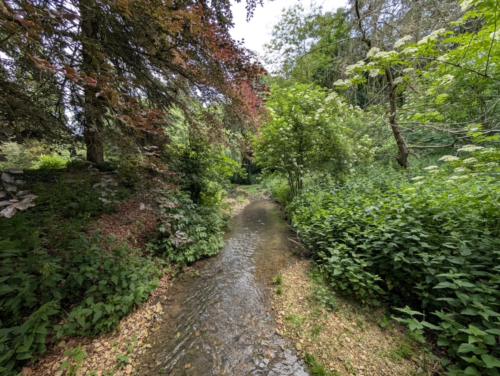 PXL_20250529_103712894.jpg