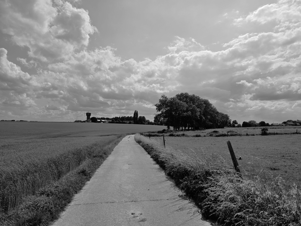 20250602_162016(1).thumb.jpg.8168c16af378bae33bce230fb5eb8384.jpg