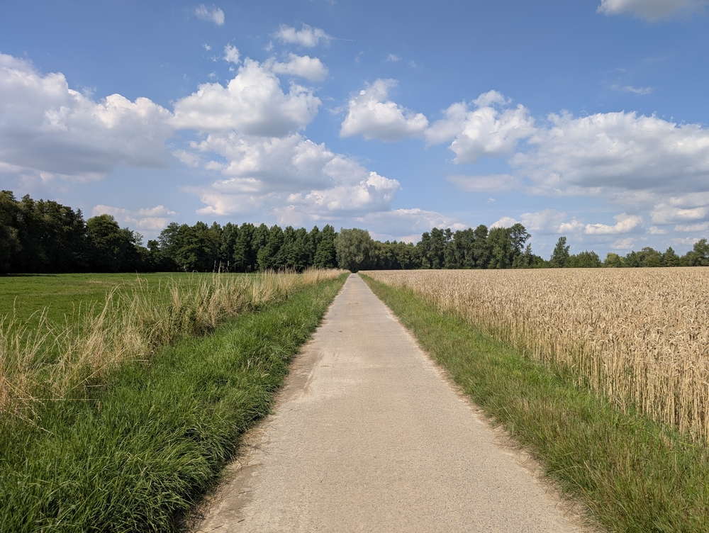 PXL_20250710_144159785.jpg