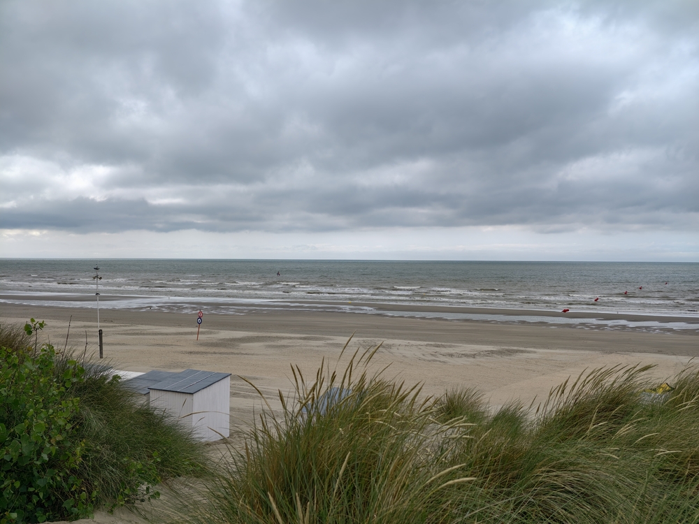 IMG_20250626_165643.jpg