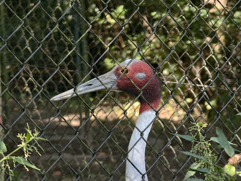 IMG_20250807_104222.jpg