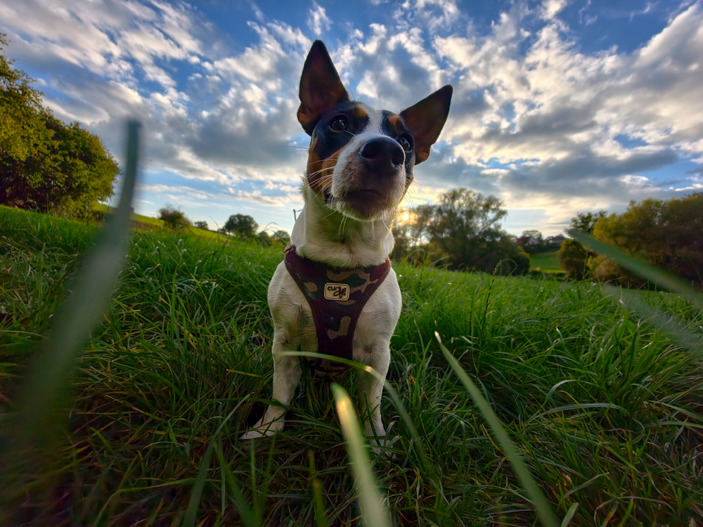 IMG_20250927_181447(1).jpg