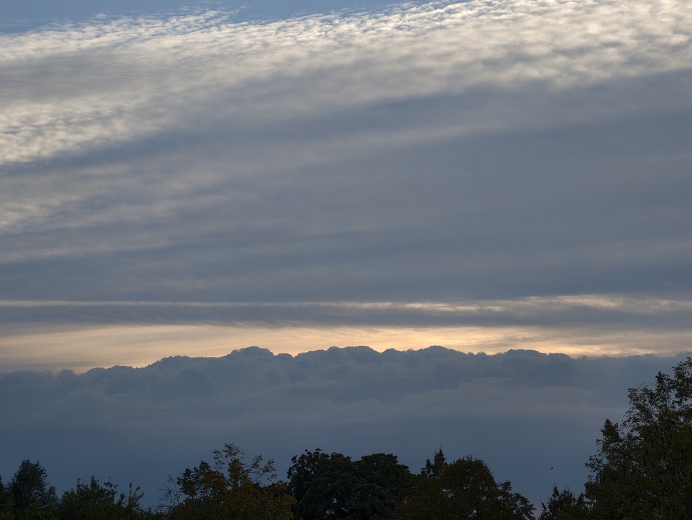 IMG_20251001_183107.jpg