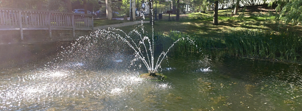IMG20260430093727.jpg