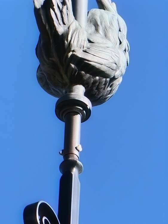 IMG20260430094011.jpg