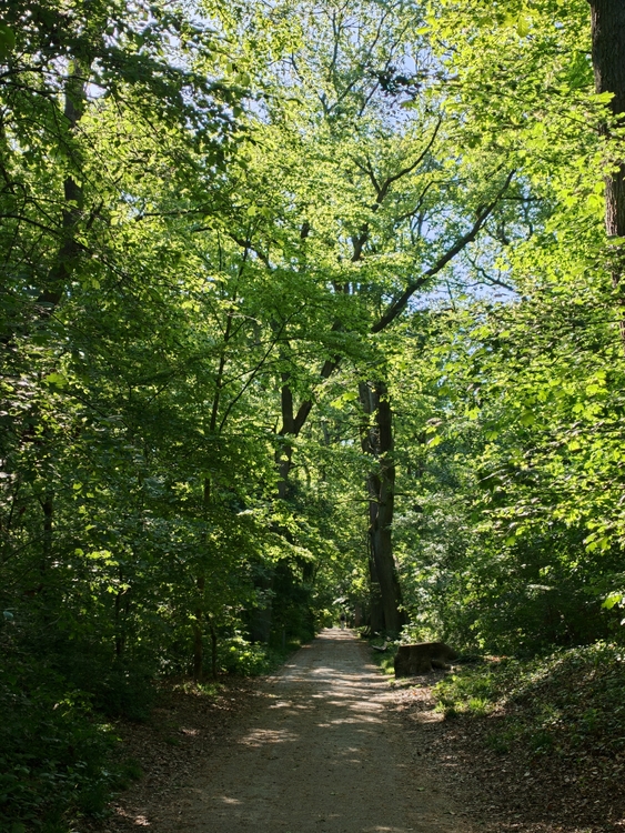 IMG20260430094806.jpg