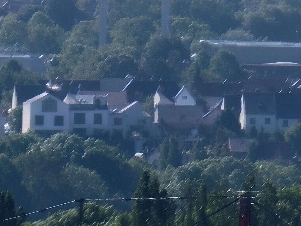 IMG20260430095440.jpg
