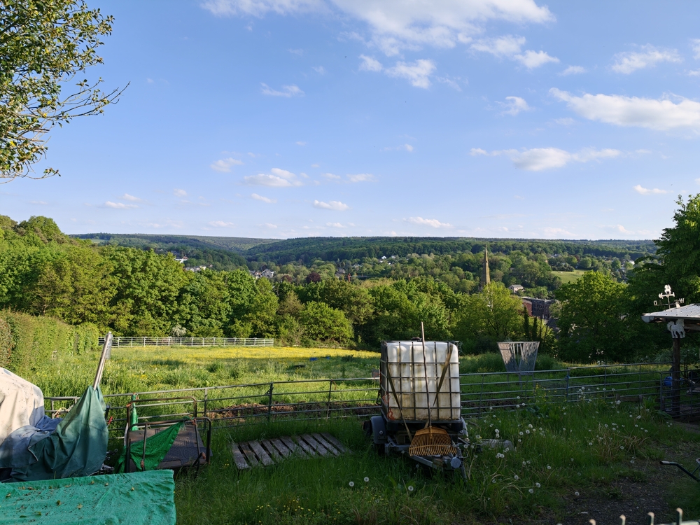 IMG20260508185515.jpg