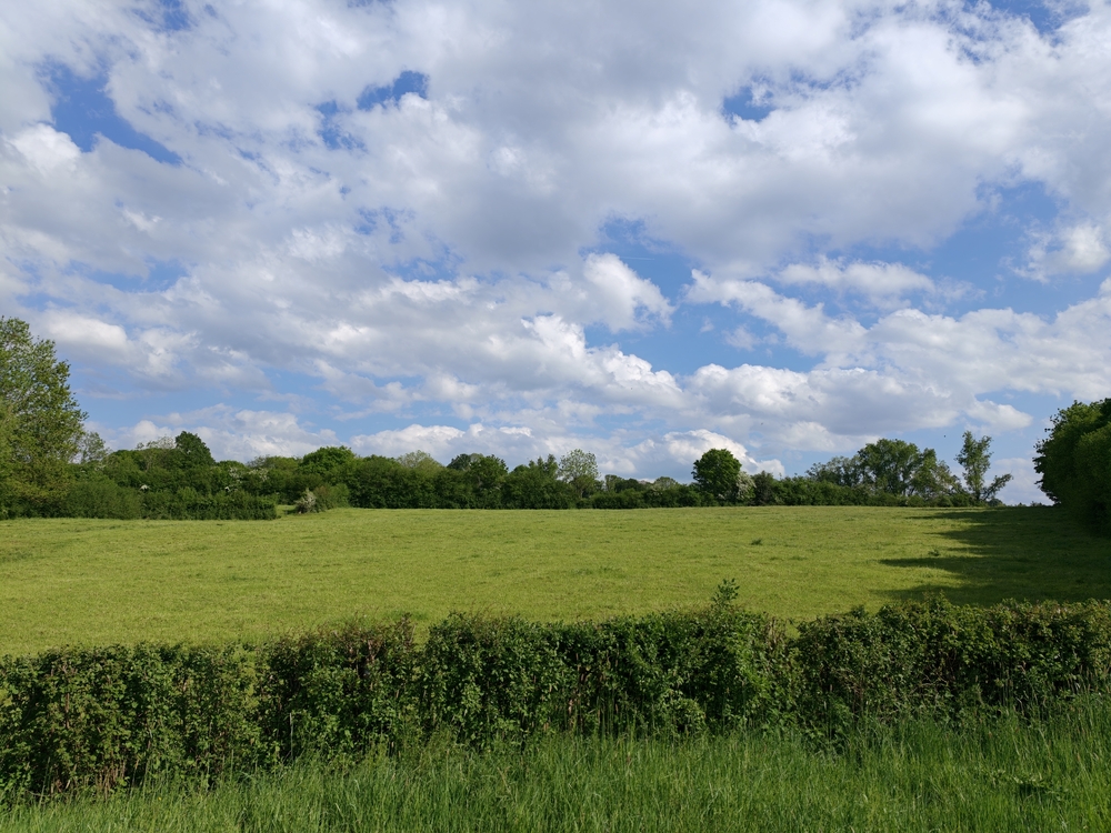 IMG20260509172653.jpg