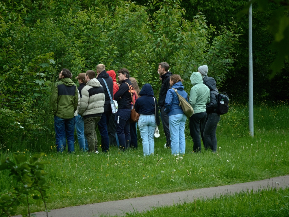 IMG20260511161720.jpg