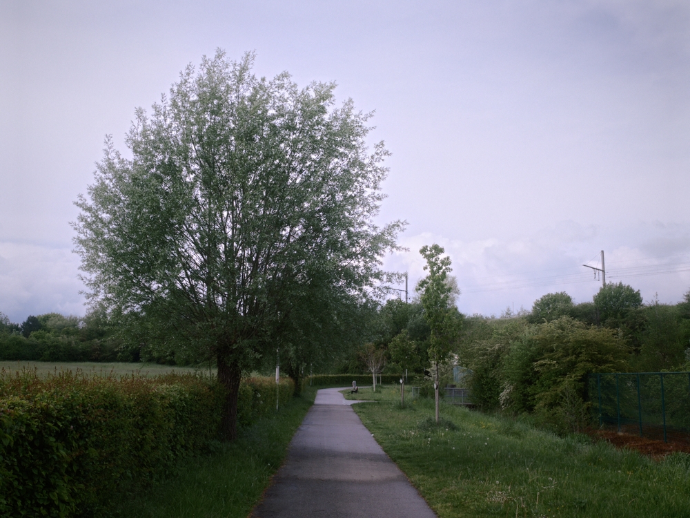 IMG20260514174648.jpg