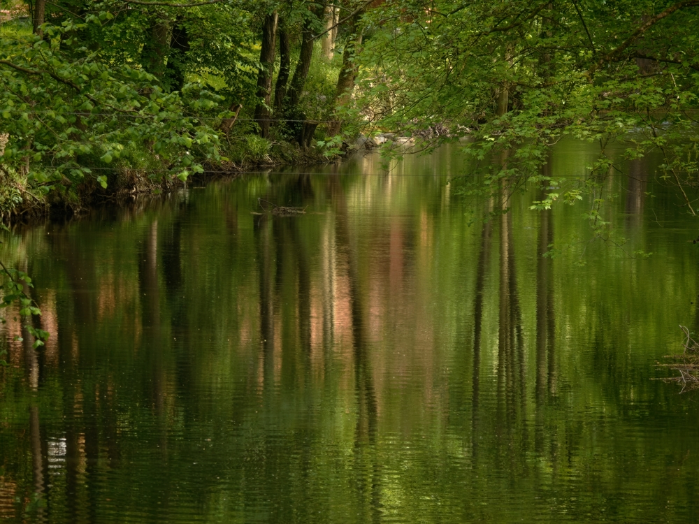 IMG20260521161930.jpg