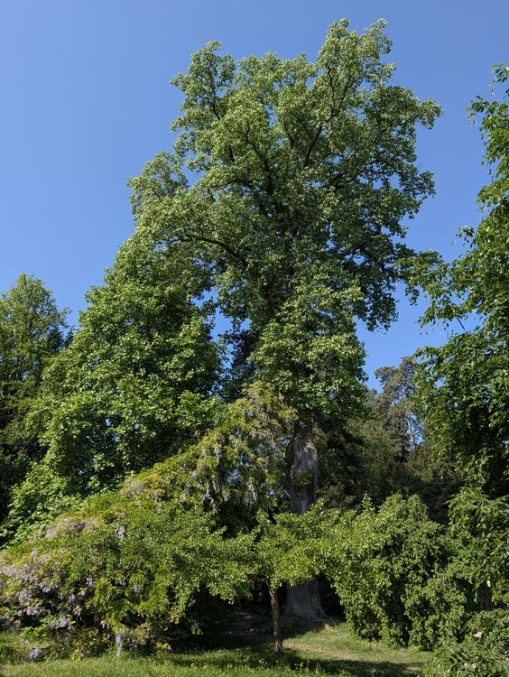 PXL_20260501_092019837.jpg