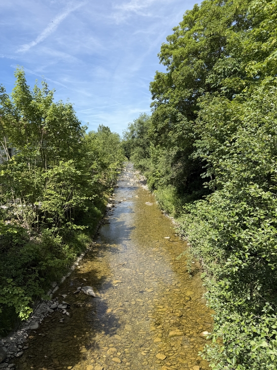 IMG_0908.jpeg