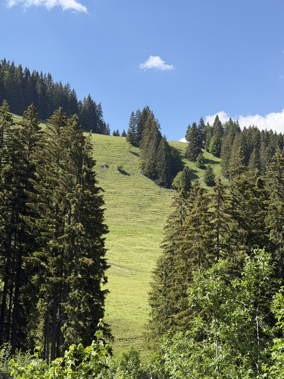 IMG_0923.jpeg