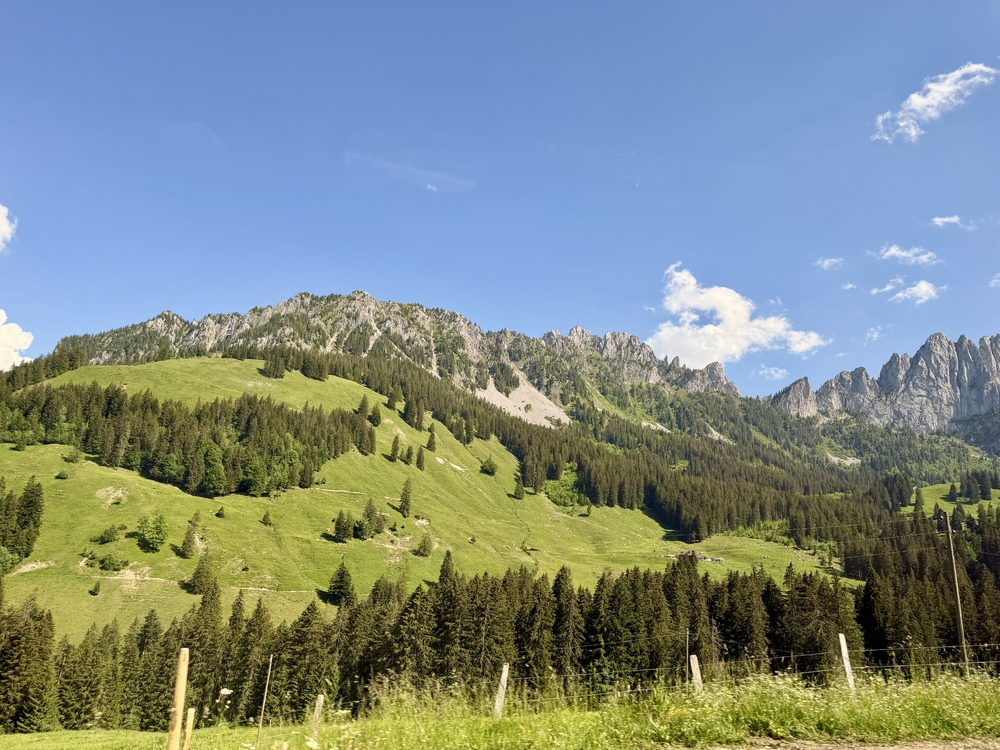 IMG_0926.jpeg