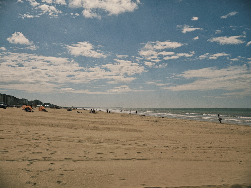 IMG_20260617_155900.jpg