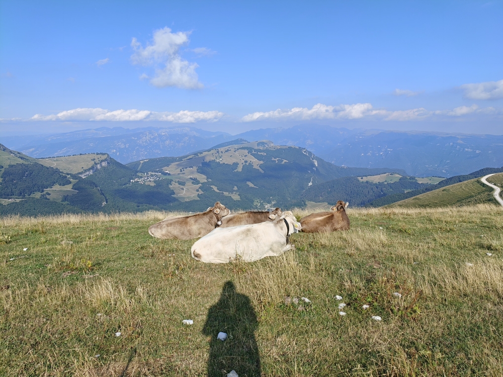 IMG20260722181222.jpeg