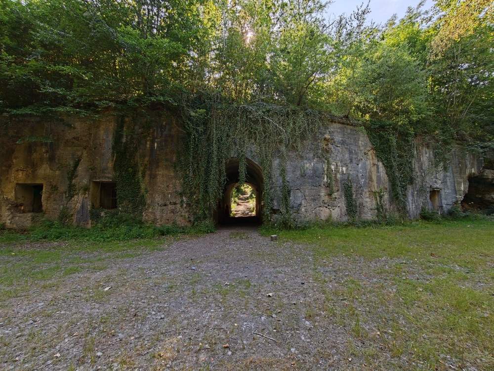 IMG20260721165219.thumb.jpg.13d776785350313fd1a3374d7a454dd8.jpg
