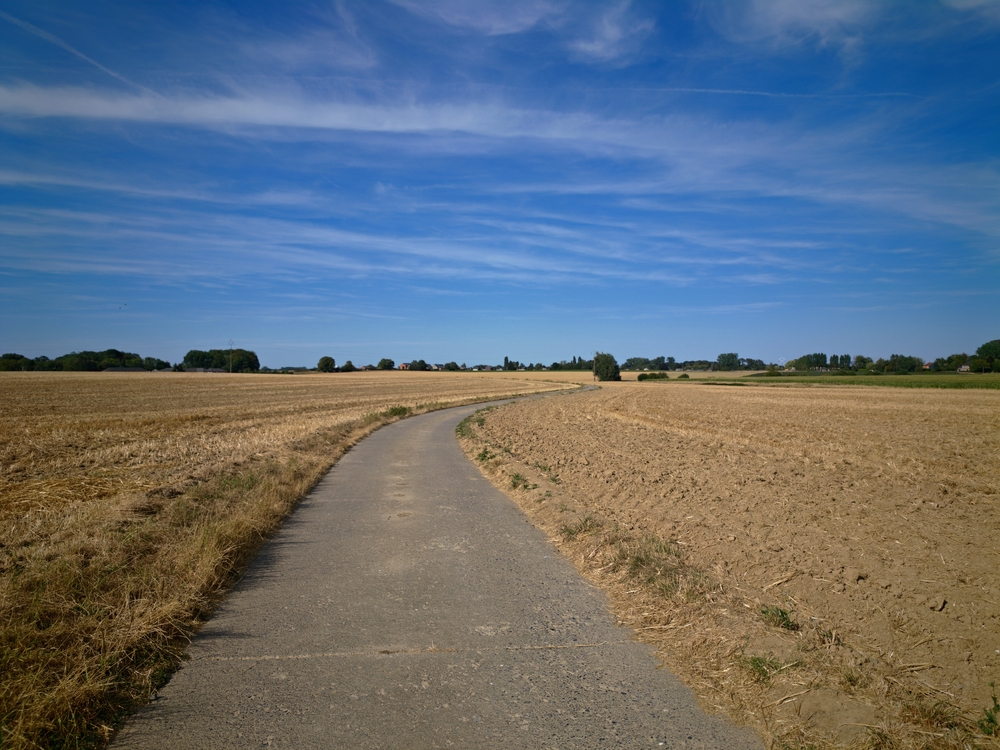 IMG20260808173243.thumb.jpg.21ac6e3f6331c6642ab49aaab5f405cd.jpg