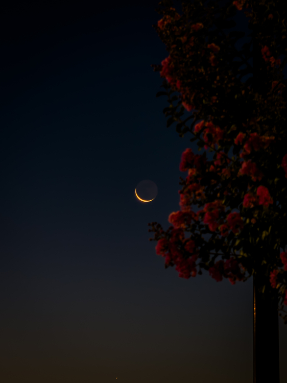 IMG_9214.jpeg