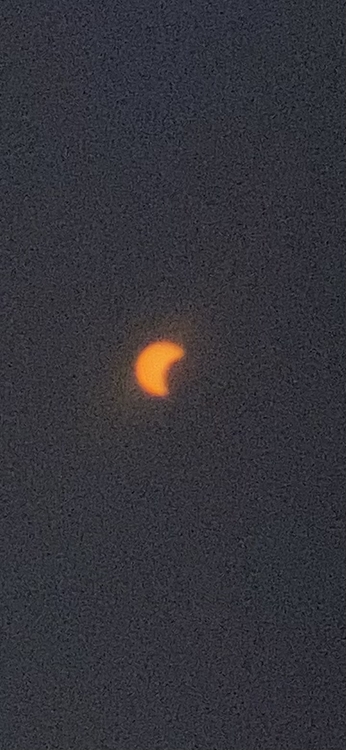 IMG_9768.thumb.jpeg.a9d25596751e6ac881a0e797a2f8fcaf.jpeg