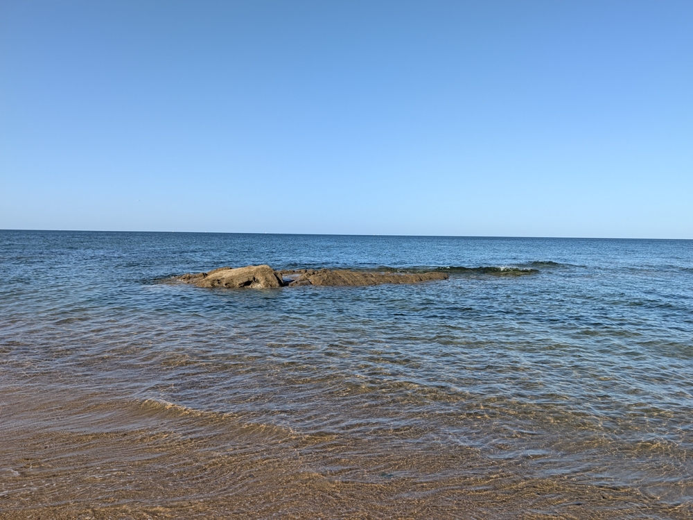 PXL_20260721_073028451.jpg