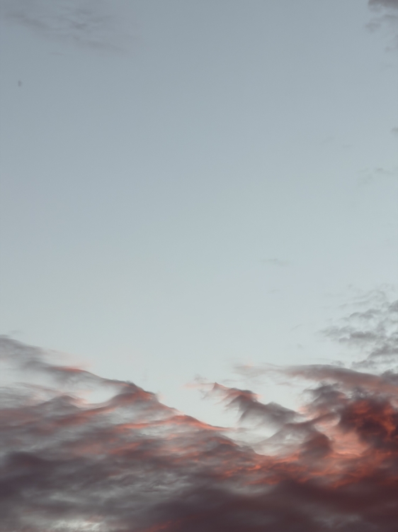 IMG_0221.jpeg