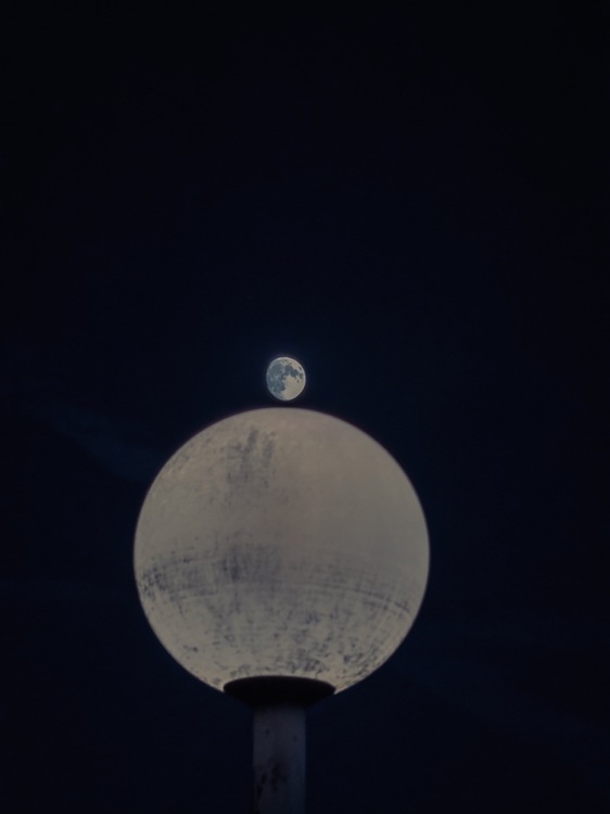 IMG_1719.jpeg