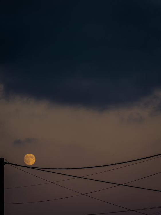 IMG_1819.jpeg