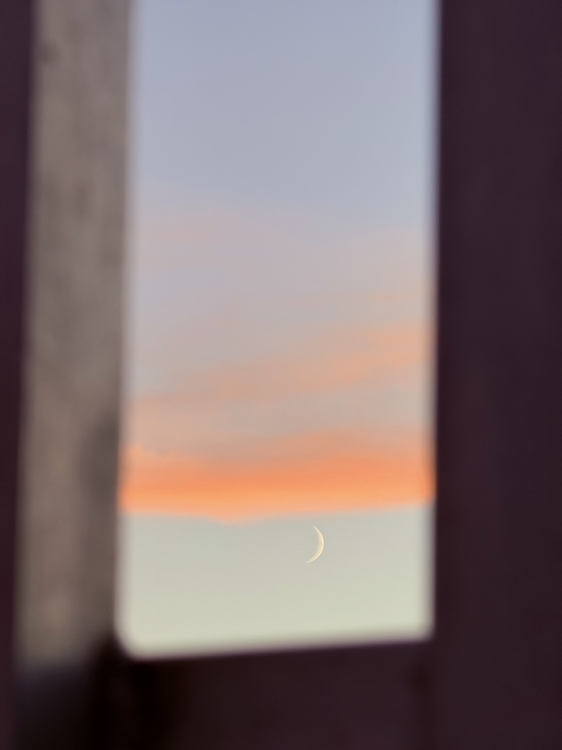 IMG_2533.jpeg